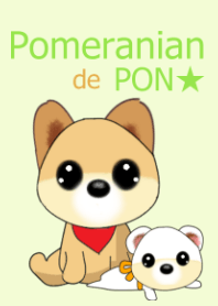 PON de Pomeranian