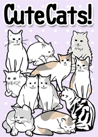 Cute Cats!