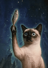 Starry Sky Mystery-Cat 1.4