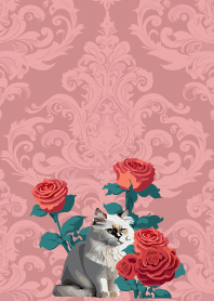 light pink 薔薇と白い猫
