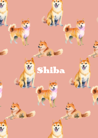 Cute Shiba on pink & blue