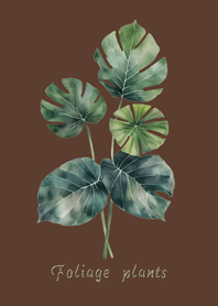 Elegant foliage plant(dark brown)