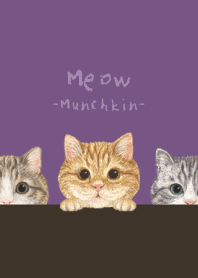 Meow - Munchkin - ANCIENT PURPLE