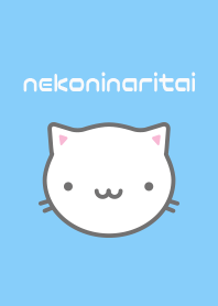 #cool #fresh #pop Cat theme!