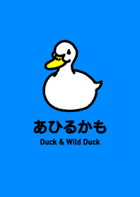 Duck & Wild Duck
