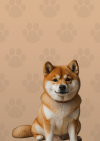 Cute Shibainu Theme Beige 02