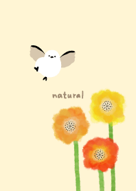 Long-tailed tit Poppy18 from Japan