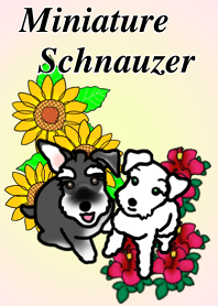 ミニシュナのハリボくんライスちゃん