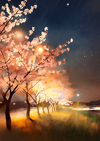 Beautiful night cherry blossoms#696