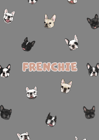 frenchie5 / dim grey