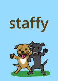 staffy