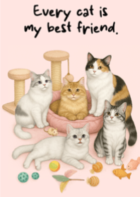 Every cat is my best friend.