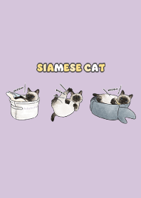 siamesecats5 - grape