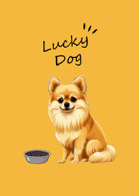 Cute Pomeranian dog(sunrise yellow)