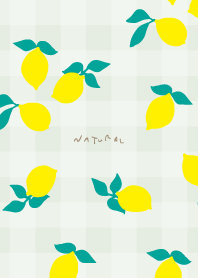 Lemon plaid pattern15 from Japan