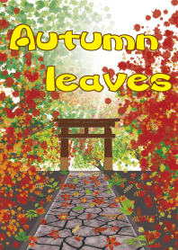 Autumn leaves_maple