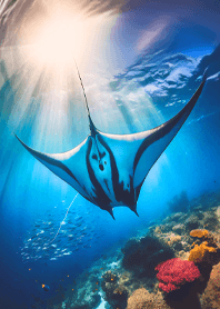 Fantasy tale of the sea15