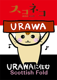 URAWAスコネコ サッカーバージョン