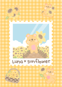 Luna x Sunflowers