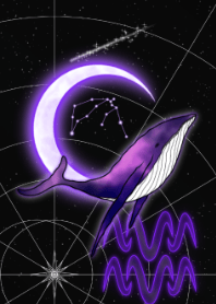 鲸鱼和水瓶座-紫色-