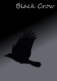 Black Crow