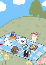Sonmun is picnic time