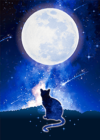 幸福をもたらす✨満月とネコ