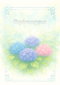 Strolling Through Hydrangeas in the Rain