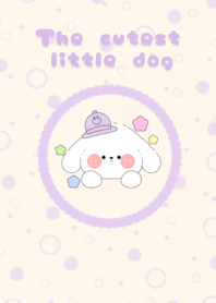 The cutest little dog2