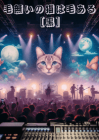 ニャーのライブ②_黒☆毛無いの猫は毛ある