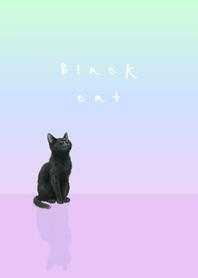 Black cat - Purple theme Aurora Gradient