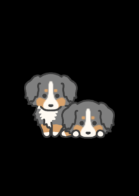 Bernese Mountain Dog darkmode theme