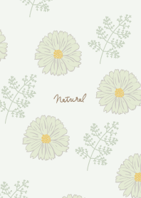 Dull color flowers and leaves17 Japan