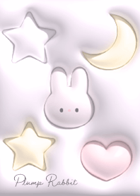 ピンクパープル ふんわり月とうさぎ11_1