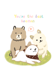 You are the best hooman