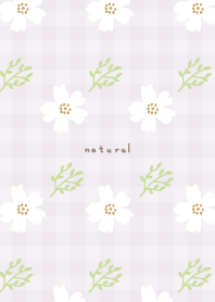 Small florets and leaves26 from Japan