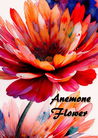 Flower(アネモネ)