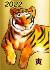 GOLD tiger 2022