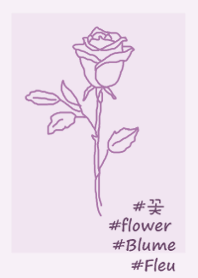 #flower rose(purple)