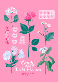 Candy and Wildflower