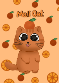 แมวชื่อมะลิ