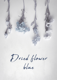 Dried flower_blue2