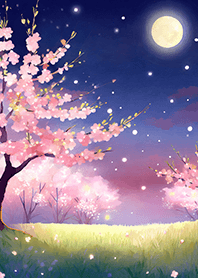 Beautiful night cherry blossoms#1178