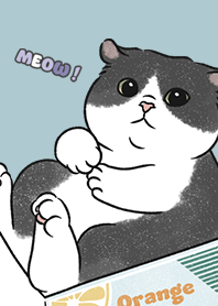 neko single20 / sea blue