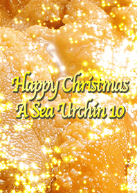 Happy Christmas A Sea Urchin 10
