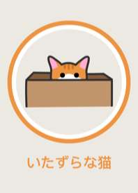 Cat vs Box | Minimal Orange [Revised]
