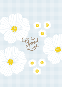 Happy White Flower Check27 from Japan