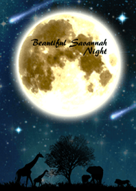 美しいサバンナ（夜）