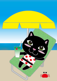 kucing hitam di pantai musim panas