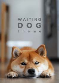 WAITING DOG - 柴犬 01/R - [rev.]